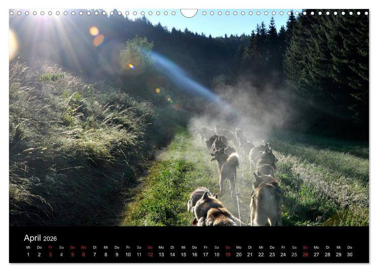Produktbild: Sibirische Huskys aus Deutschland (Wandkalender 2026 DIN A3 quer), CALVENDO Monatskalender