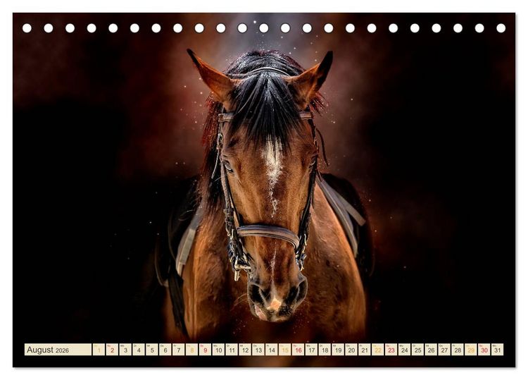 Produktbild: Eleganz und Sch&ouml;nheit - Pferde (Tischkalender 2026 DIN A5 quer), CALVENDO Monatskalender