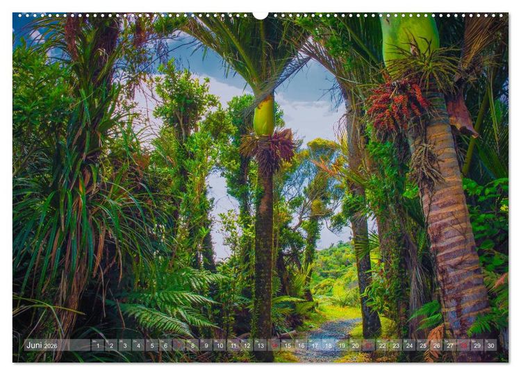 Produktbild: Traumhafte Wege - Unterwegs auf Neuseelands S&uuml;dinsel (hochwertiger Premium Wandkalender 2026 DIN A2 quer), Kunstdruck in Hochglanz