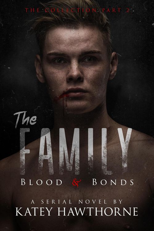 Produktbild: The Family: Blood and Bonds - Part 2