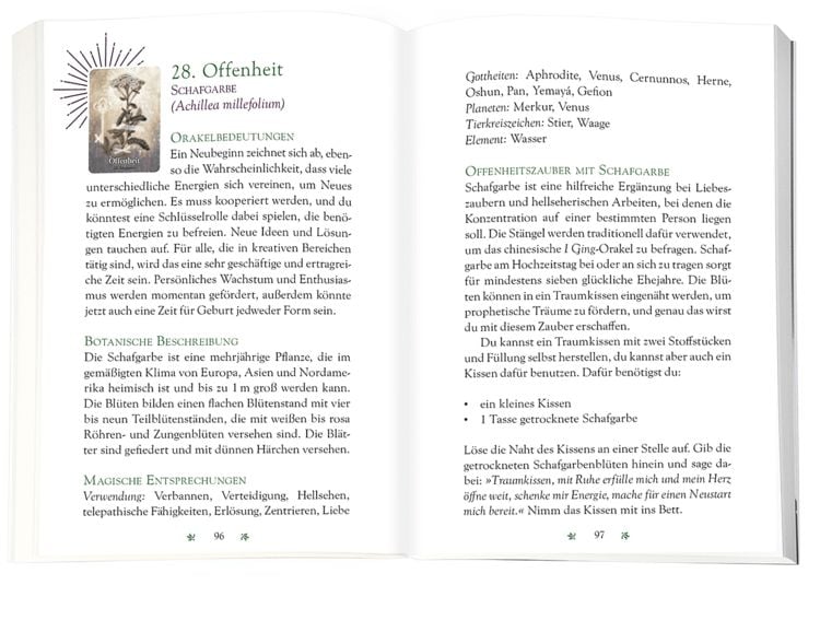 Produktbild: Das magische Orakel der Heilpflanzen