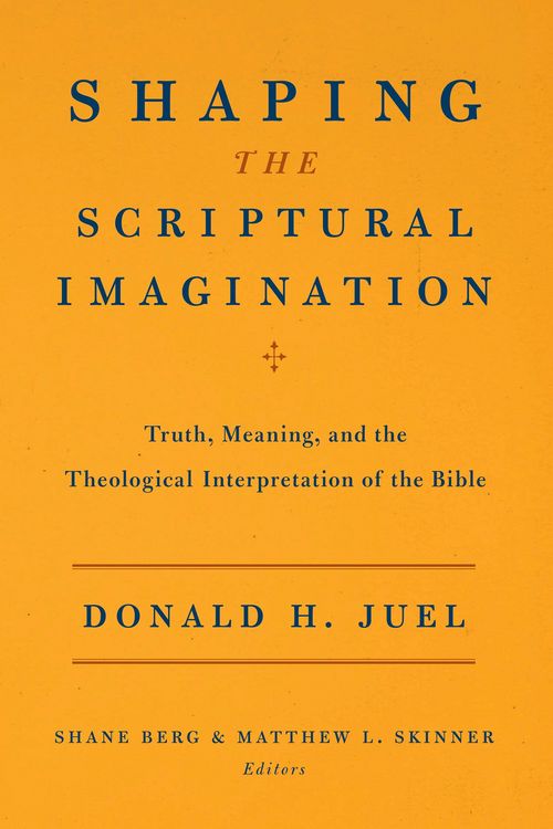 Produktbild: Shaping the Scriptural Imagination