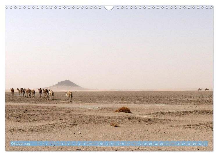 Produktbild: Sehnsucht Sahara (Wandkalender 2026 DIN A3 quer), CALVENDO Monatskalender