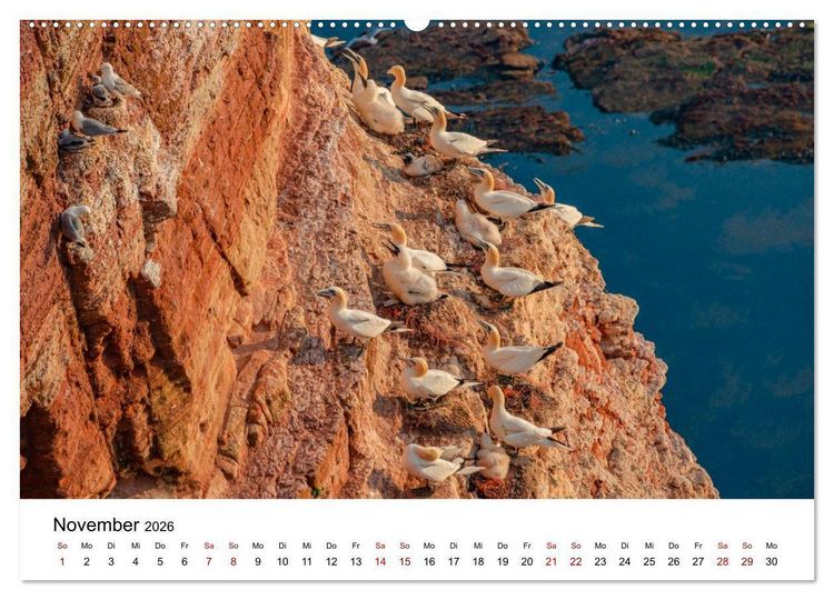 Produktbild: HELGOLAND: Nordseeinsel, sch&ouml;ner Ferienort (hochwertiger Premium Wandkalender 2026 DIN A2 quer), Kunstdruck in Hochglanz