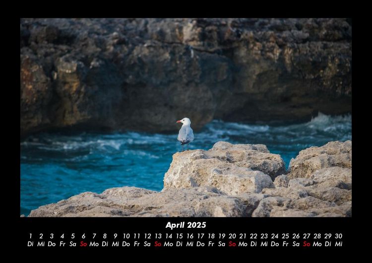 Produktbild: Sehnsucht nach Meer 2025 Fotokalender DIN A3