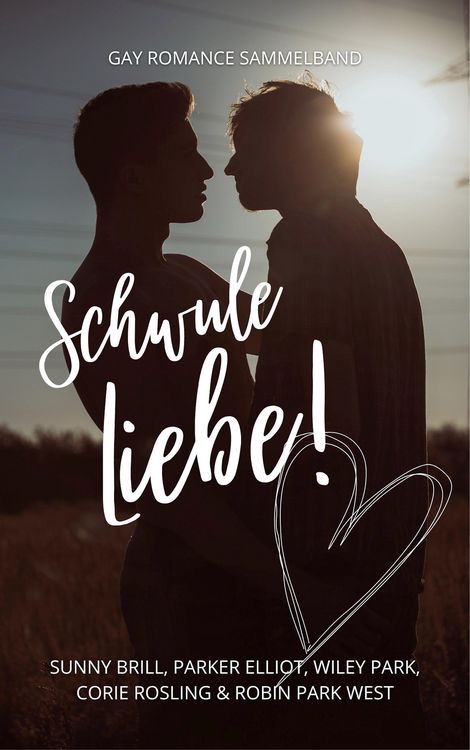Produktbild: Schwule Liebe!