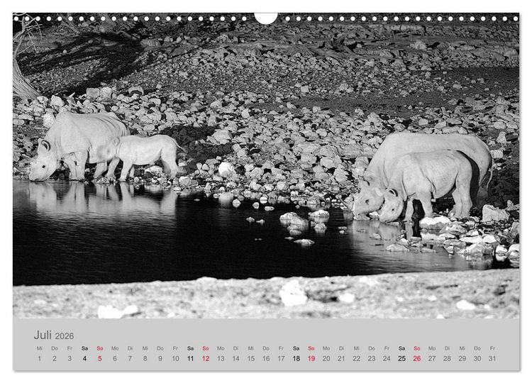 Produktbild: Die Seelen der wilden Tiere (Wandkalender 2026 DIN A3 quer), CALVENDO Monatskalender