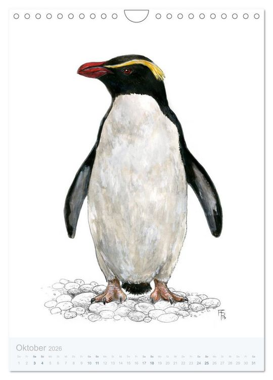 Produktbild: Pinguine - 13 Illustrationen (Wandkalender 2026 DIN A4 hoch), CALVENDO Monatskalender