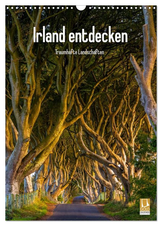 Produktbild: Irland entdecken (Wandkalender 2026 DIN A3 hoch), CALVENDO Monatskalender
