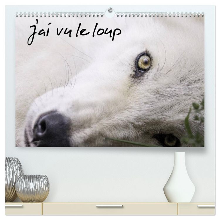 Produktbild: J'ai vu le loup (Calendrier mural 2026 DIN A2 vertical) calendrier de bureau