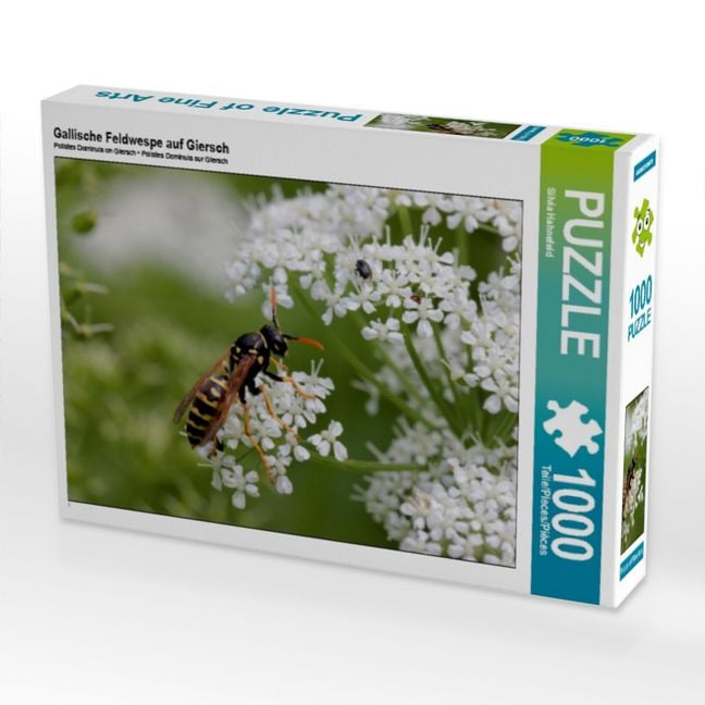 Produktbild: CALVENDO Puzzle Gallische Feldwespe auf Giersch | 1000 Teile Lege-Gr&ouml;&szlig;e 64x48cm Foto-Puzzle f&uuml;r gl&uuml;ckliche Stunden