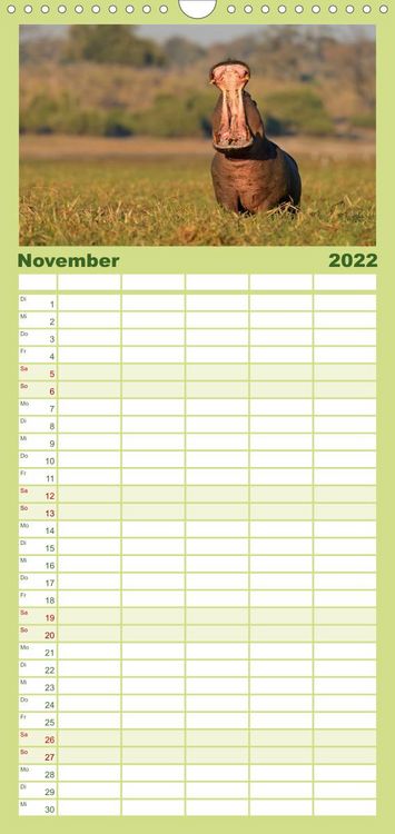 Produktbild: Flusspferde Magie des Augenblicks - Hippos in Afrika - Familienplaner hoch (Wandkalender 2022 , 21 cm x 45 cm, hoch)