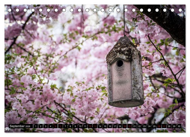 Produktbild: Fr&uuml;hlingsbl&uuml;her - Farbenpracht nach dem Winter (Tischkalender 2026 DIN A5 quer), CALVENDO Monatskalender