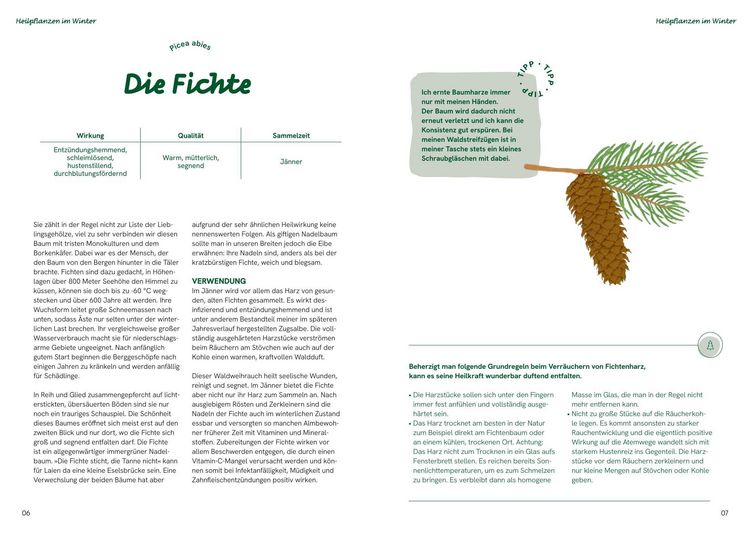 Produktbild: Die gro&szlig;e Waldapotheke