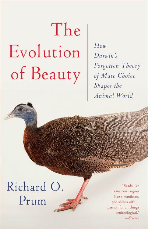 Produktbild: The Evolution of Beauty