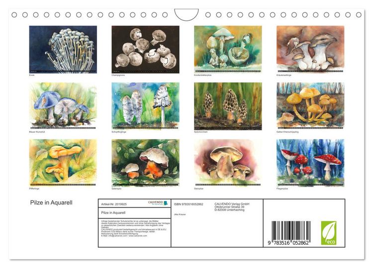 Produktbild: Pilze in Aquarell (Wandkalender 2026 DIN A4 quer), CALVENDO Monatskalender