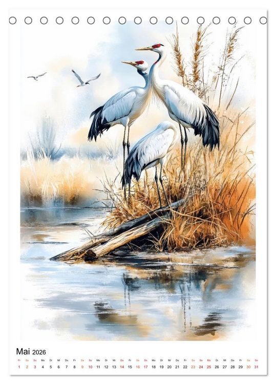 Produktbild: V&ouml;gel - gefiederte Freunde in Wald und Feld (Tischkalender 2026 DIN A5 hoch), CALVENDO Monatskalender