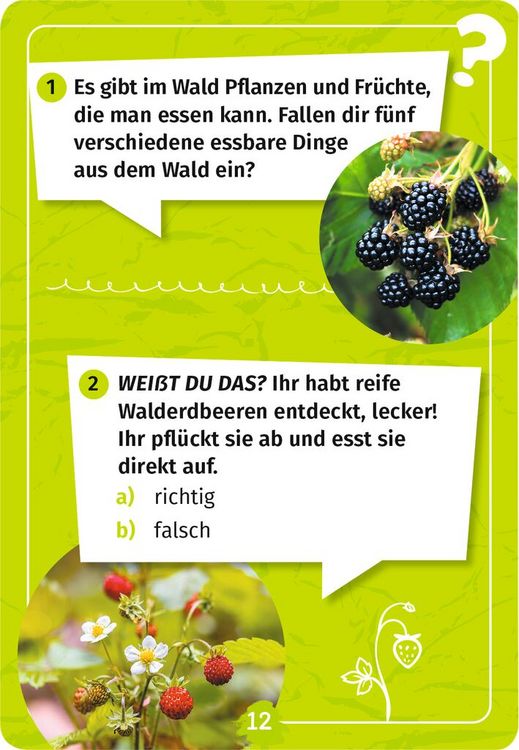 Produktbild: Expedition Natur Mein Wald-Forscherquiz
