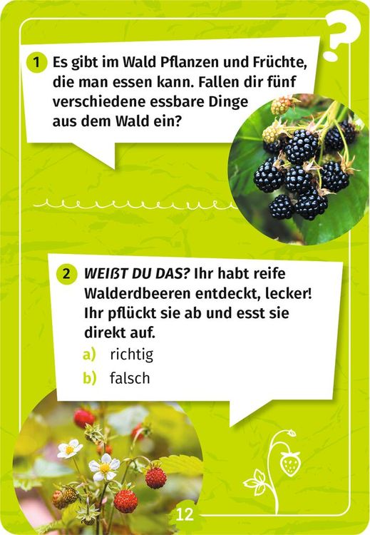 Produktbild: Mein Wald-Forscherquiz