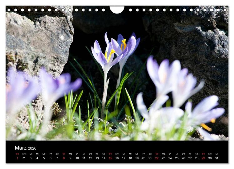Produktbild: Jahreszeiten / 2026 (Wandkalender 2026 DIN A4 quer), CALVENDO Monatskalender