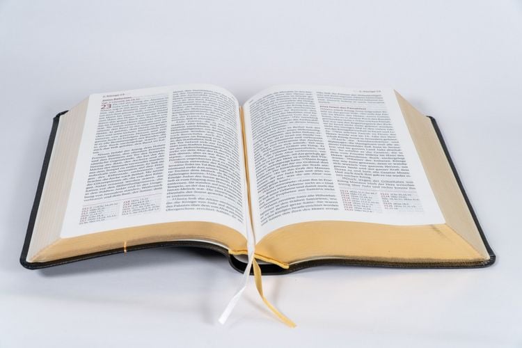 Produktbild: Neues Leben. Die Bibel, Standardausgabe, Leder mit Goldschnitt