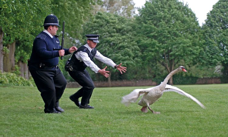 Produktbild: Hot Fuzz - Zwei abgewichste Profis