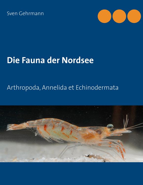 Produktbild: Die Fauna der Nordsee