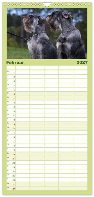 Produktbild: Familienplaner 2027 - Schnauzer... von Zwergen und Riesen 2027 mit 5 Spalten (Wandkalender, 21 x 45 cm) CALVENDO
