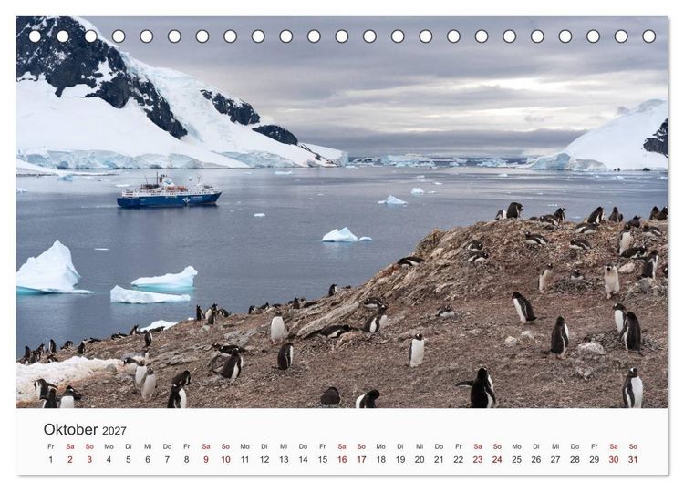 Produktbild: Pinguine - Die sympathischen Frack-Tr&auml;ger (Tischkalender 2027 DIN A5 quer), CALVENDO Monatskalender