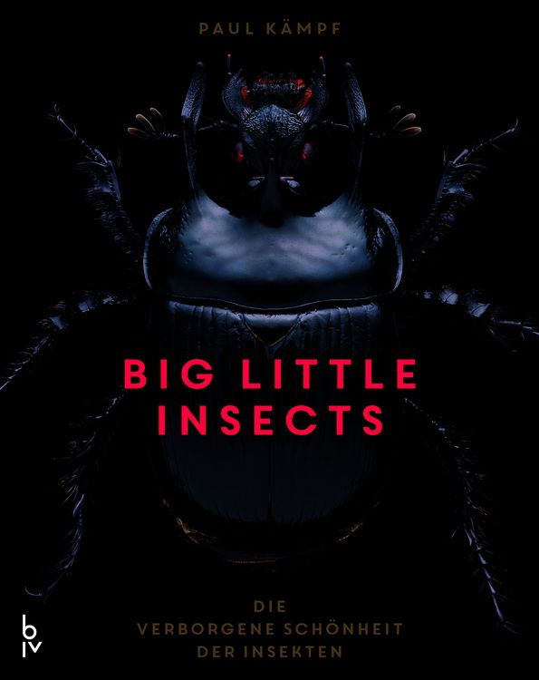 Produktbild: Big Little Insects