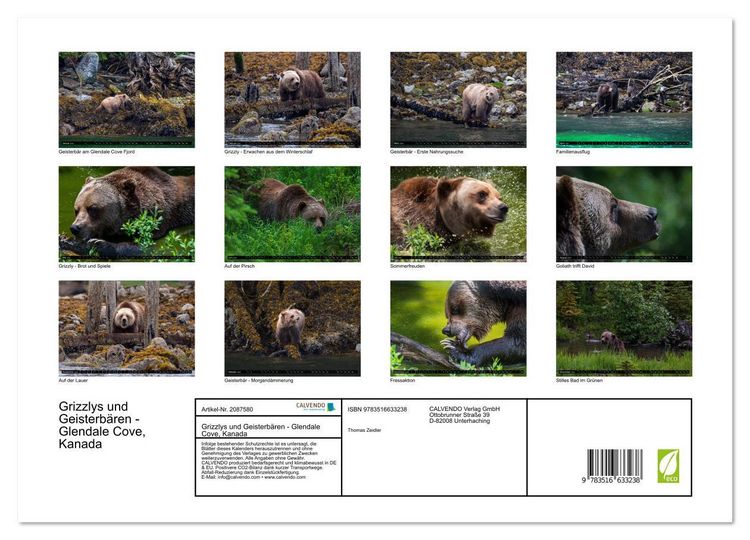 Produktbild: Grizzlys und Geisterb&auml;ren - Glendale Cove, Kanada (hochwertiger Premium Wandkalender 2026 DIN A2 quer), Kunstdruck in Hochglanz