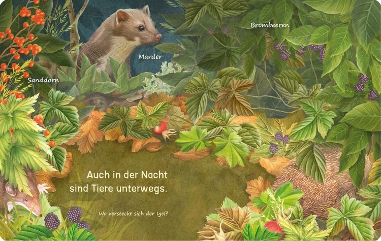 Produktbild: Es raschelt was im Laub