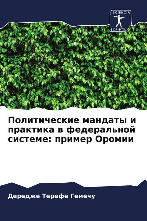 Produktbild: Politicheskie mandaty i praktika w federal'noj sisteme: primer Oromii