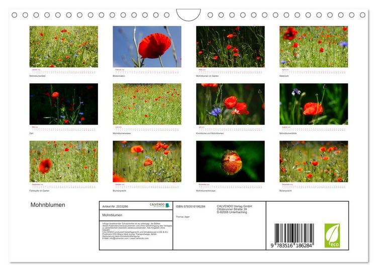 Produktbild: Mohnblumen (Wandkalender 2026 DIN A4 quer), CALVENDO Monatskalender