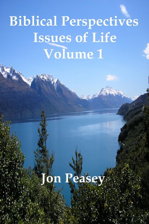Produktbild: Biblical Perspectives - Issues of Life Volume 1
