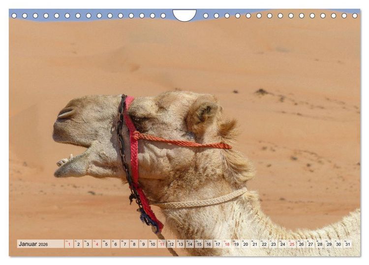 Produktbild: Oman - Zauberhafte Landschaften (Wandkalender 2026 DIN A4 quer), CALVENDO Monatskalender