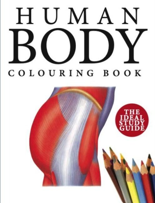 Produktbild: Human Body Colouring Book