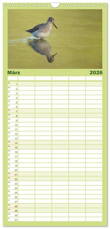 Produktbild: Familienplaner 2026 - Das faszinierende Reich der V&ouml;gel mit 5 Spalten (Wandkalender, 21 x 45 cm) CALVENDO