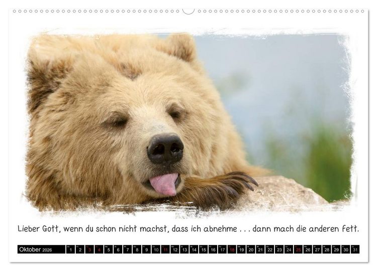 Produktbild: Tierisch witzig (hochwertiger Premium Wandkalender 2026 DIN A2 quer), Kunstdruck in Hochglanz