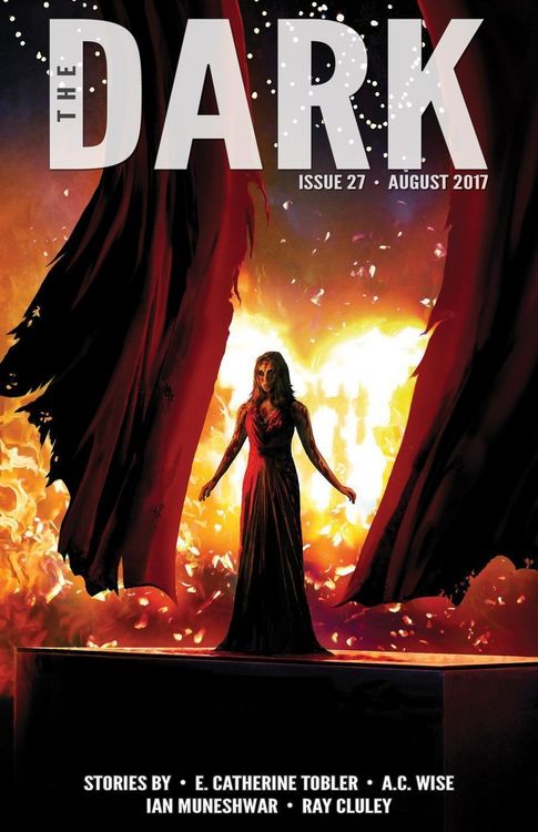 Produktbild: The Dark Issue 27