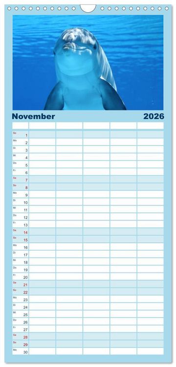 Produktbild: Familienplaner 2026 - Delfine - L&auml;chelnde Intelligenz mit 5 Spalten (Wandkalender, 21 x 45 cm) CALVENDO