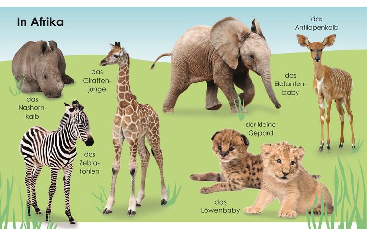 Produktbild: Erstes Lernen mini. Tierkinder