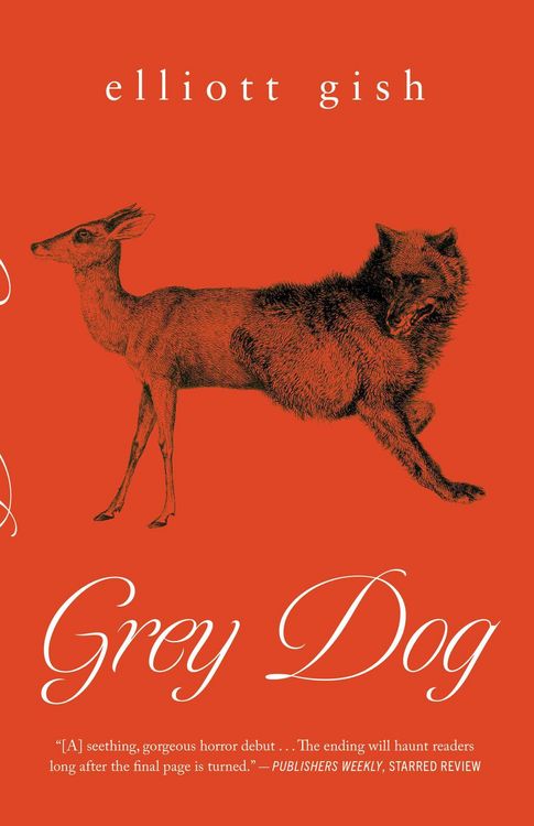 Produktbild: Grey Dog