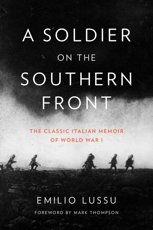 Produktbild: A Soldier on the Southern Front