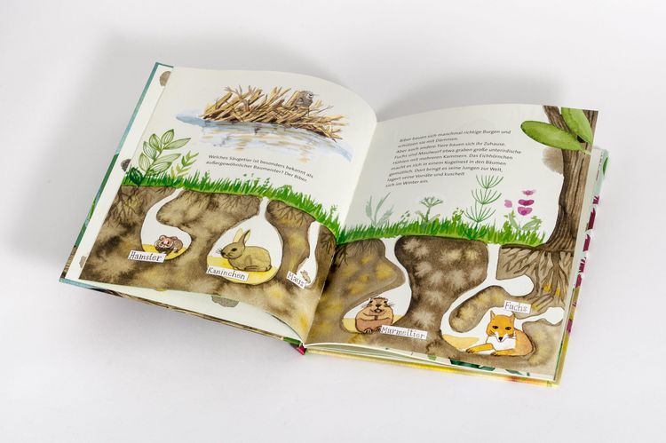 Produktbild: Die unglaublichen Tierh&auml;user