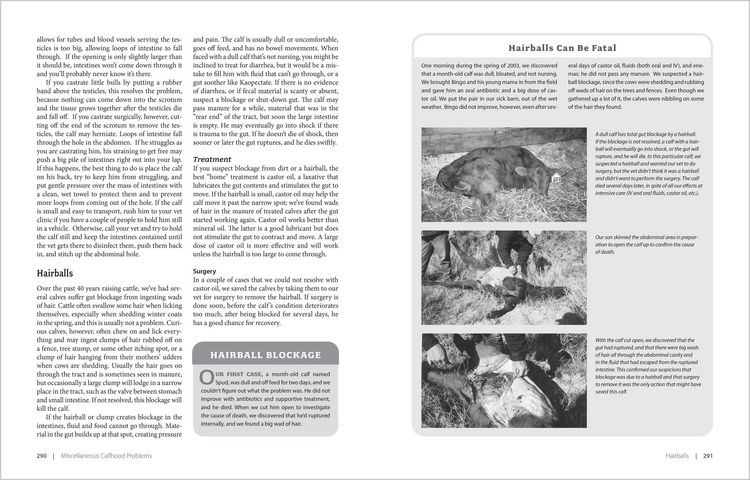 Produktbild: Essential Guide to Calving