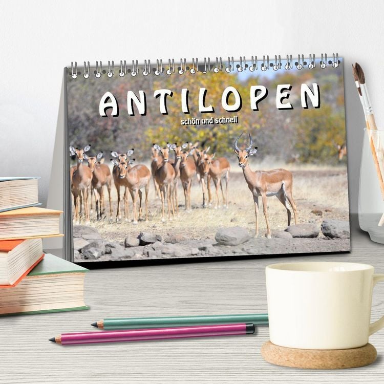 Produktbild: Antilopen, sch&ouml;n und schnell (Tischkalender 2026 DIN A5 quer), CALVENDO Monatskalender
