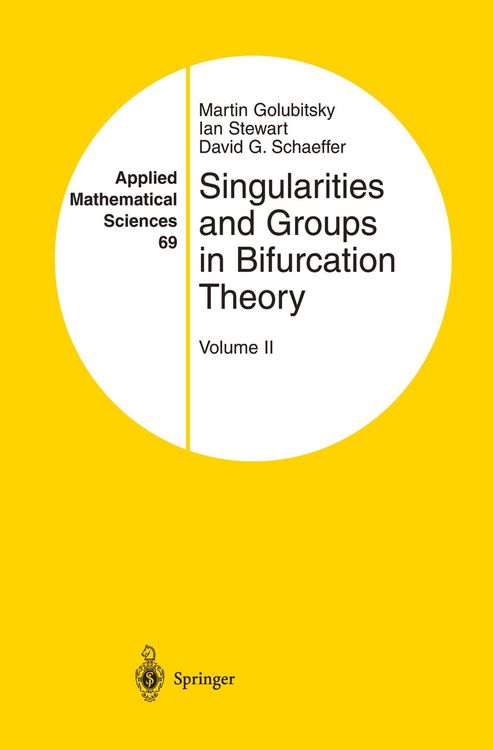 Produktbild: Singularities and Groups in Bifurcation Theory