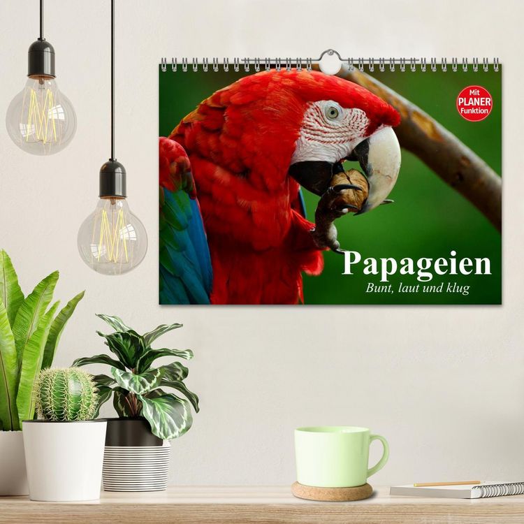 Produktbild: Papageien. Bunt, laut und klug (Wandkalender 2026 DIN A4 quer), CALVENDO Monatskalender
