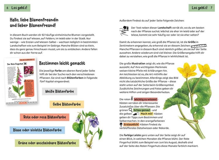Produktbild: Was bl&uuml;ht denn da? Kindernaturf&uuml;hrer